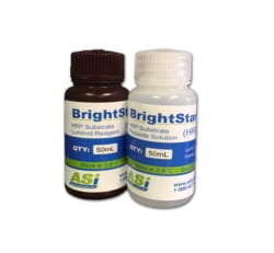 Alkali Scientific BrightStar Femto HRP Chemiluminescent 2-Component Substrate