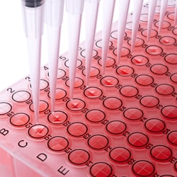 Alkali Scientific&nbsp;EZ-Punch&trade; Sealing Film, 100/pk