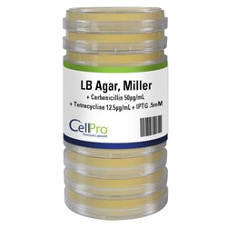 Alkali Scientific&nbsp;CellPro&trade; LB + Carbenicillin 50µg/mL + Tetracycline 12.5µg/mL + IPTG .5mM, 10/Sleeve