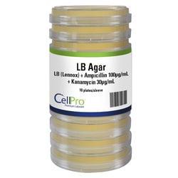 Alkali Scientific CellPro™ LB (Lennox) + Ampicillin 100µg/mL + Kanamycin 30µg/mL, 10/Sleeve