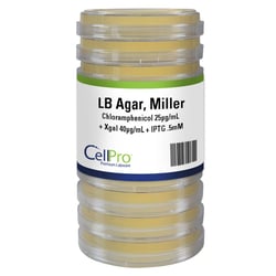 Alkali Scientific&nbsp;CellPro&trade; LB + Chloramphenicol 25µg/mL + Xgal 40µg/mL + IPTG .5mM 100mm, 10/Sleeve