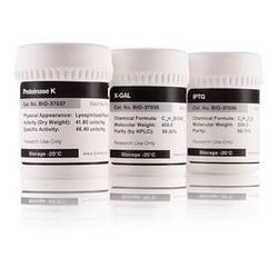 Alkali Scientific ASI Proteinase K Powder, UltraPure Grade, 1000mg, Store
