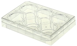 Alkali Scientific 6-Well Glass Bottom Cell Culture Plate, 20mm,TC, Sterile 1/pk, 10/cs