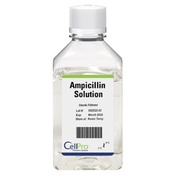 Alkali Scientific CellPro Ampicillin Solution 100mg/mL 10mL, Quantity: