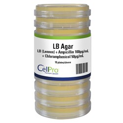 Alkali Scientific&nbsp;CellPro&trade; LB (Lennox) + Ampicillin 100µg/mL + Chloramphenicol 50µg/mL, 10/Sleeve