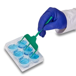 Alkali Scientific&nbsp;Scar Scratcher with 24-Well Lid, HDPE, 1mm, Individually Wrapped, Sterile, 20/cs