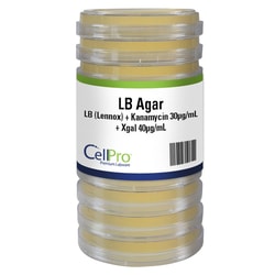 Alkali Scientific&nbsp;CellPro&trade; LB (Lennox) + Kanamycin 30µg/mL + Xgal 40µg/mL 100mm, 10/Sleeve