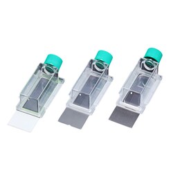 Alkali Scientific Cell Culture Slide Hybridwell, Clear PE / PS / Glass / PP, Non-Treated, Sterile, 12/cs