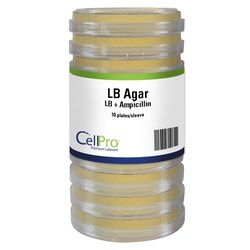 Alkali Scientific&nbsp;CellPro&trade; LB + Carbenicillin 200µg/mL 100mm, 10/Sleeve