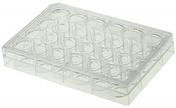 Alkali Scientific&nbsp;24-Well Glass Bottom Cell Culture Plate, 10mm,TC, Sterile 1/pk, 10/cs