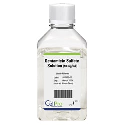 Alkali Scientific&nbsp;ASI&trade; Gentamicin Sulfate Solution (10 mg/mL), 6 x 20mL