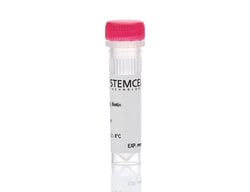 STEMCELL Technologies Anti-Mouse CD45.1 Antibody, Clone A20, Biotin, Size: