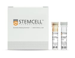 STEMCELL Technologies&nbsp;RoboSep Human CD19 Positive Selection Kit II, For processing: 1 x 10 9 cells
