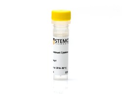 STEMCELL Technologies Human Recombinant PDGF-AB, Size: 100 ug, Quantity: