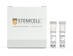 STEMCELL Technologies RoboSep Human T Cell Enrichment Kit with Filter Tips,