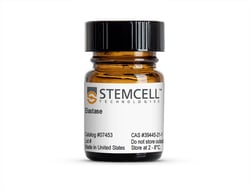 STEMCELL Technologies Elastase, Size: 1 g, Quantity: Each of 1
