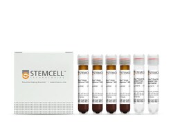 STEMCELL Technologies EasySep Direct HLA Crossmatch T Cell Isolation Kit,