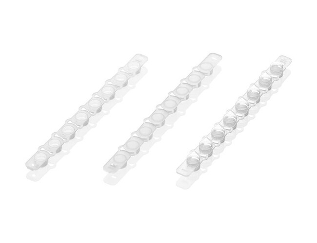 Eppendorf Pcr Tube Strips And Domed Cap Strips 01ml With PCR cap strips ...