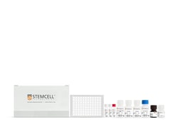 STEMCELL Technologies Human SARS-CoV-2 Nucleoprotein IgG Antibody ELISA