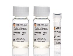 STEMCELL Technologies MyoCult-SF Expansion Supplement Kit (Human), Size: 1 Kit