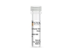 STEMCELL Technologies Anti-Human Vimentin Antibody, Clone 1A7, Size: 100