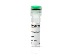 STEMCELL Technologies Human Recombinant FGF-7 (KGF), Size: 50 ug, Quantity: