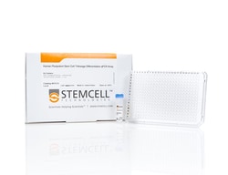 STEMCELL Technologies&nbsp;Human Pluripotent Stem Cell Trilineage Differentiation qPCR Array, Size: 1 Unit