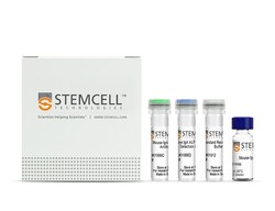 STEMCELL Technologies Mouse IgA ELISA Antibody Pair Kit, Size: 1 Kit, Quantity:
