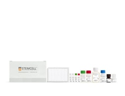 STEMCELL Technologies Human ACE2 ELISA Kit, Size: 1 Kit, Quantity: Each