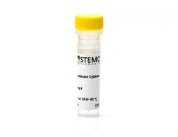 STEMCELL Technologies&nbsp;Mouse Recombinant TNF-alpha, Size: 100  ug