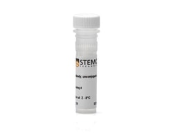 STEMCELL Technologies Anti-Human TRA-1-81 Antibody, Clone TRA-1-81, Alexa
