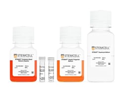 STEMCELL Technologies&nbsp;STEMdiff Hepatocyte Kit, Size: 1 Kit