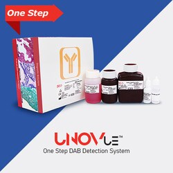 Diagnostic Biosystems&nbsp;UNOVUE MOUSE Mouse/Rabbit UnoVue&trade; HRP/DAB Detection System