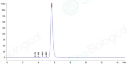 Sino Biological Recombinant Human ILT2/LILRB1 Protein (ECD, His & AVI Tag),