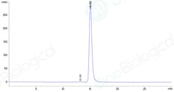 Sino Biological Recombinant Human IgG1-Fc Protein (C103S, AVI Tag), Biotinylated,