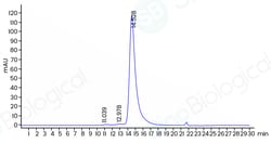 Sino Biological Recombinant Human KLRB1 Protein (hFc Tag), HPLC-verified,