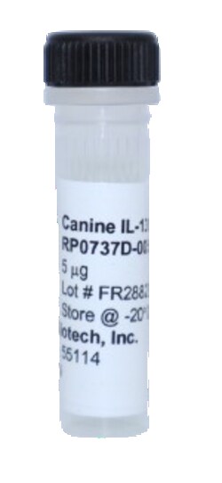 Kingfisher Biotech Inc Canine IL-13 Recombinant Protein (Yeast, Endotoxin