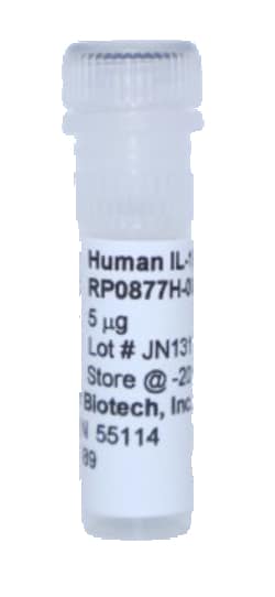 Kingfisher Biotech Inc Human IL-1 beta Recombinant Protein (Yeast, Endotoxin