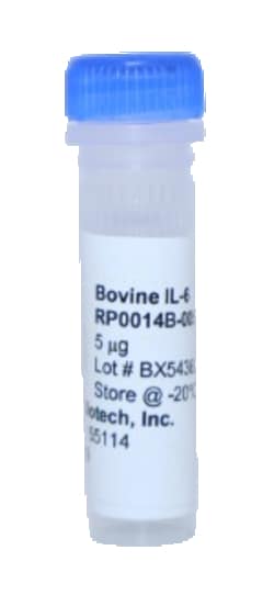 Kingfisher Biotech Inc Bovine IL-6 Recombinant Protein (Yeast, Endotoxin