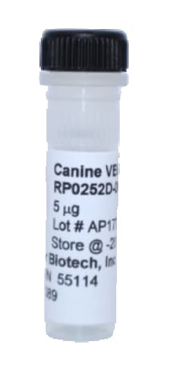 Kingfisher Biotech Inc Canine VEGF-A Recombinant Protein (Yeast, Endotoxin
