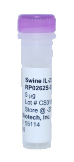 Kingfisher Biotech Inc Swine IL-22 Recombinant Protein (Yeast, Endotoxin