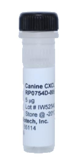 Kingfisher Biotech Inc Canine CXCL10 (IP-10) Recombinant Protein (Yeast,