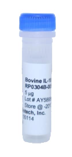 Kingfisher Biotech Inc Bovine IL-18 Recombinant Protein (Yeast, Endotoxin