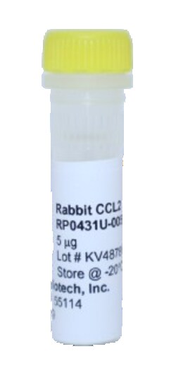 Kingfisher Biotech Inc Rabbit CCL2 Recombinant Protein (Yeast, Endotoxin