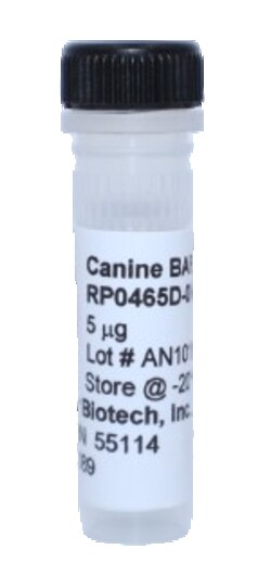 Kingfisher Biotech Inc Canine BAFF (TNFSF13B) Recombinant Protein (Yeast,