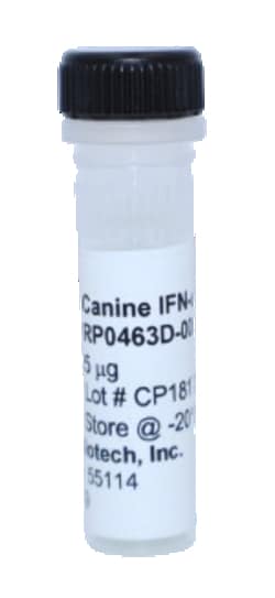 Kingfisher Biotech Inc Canine IFN alpha Recombinant Protein (Yeast, Endotoxin