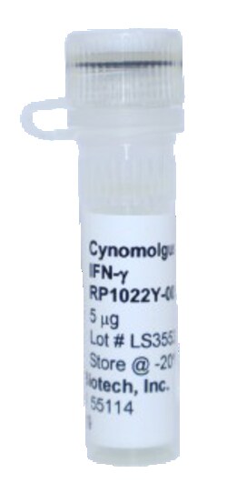 Kingfisher Biotech Inc Cynomolgus Monkey IFN gamma Recombinant Protein