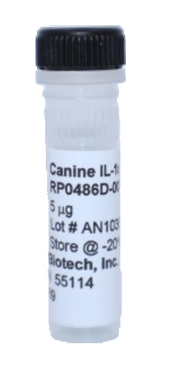 Kingfisher Biotech Inc Canine IL-1 alpha Recombinant Protein (Yeast, Endotoxin