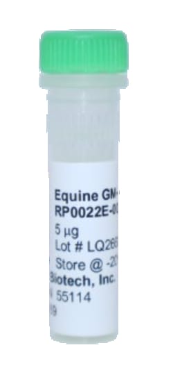 Kingfisher Biotech Inc Equine GM-CSF Recombinant Protein (Yeast, Endotoxin
