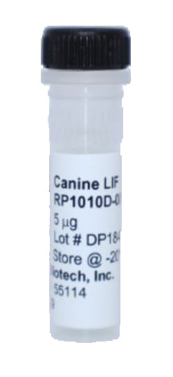 Kingfisher Biotech Inc Canine LIF Recombinant Protein (Yeast, Endotoxin